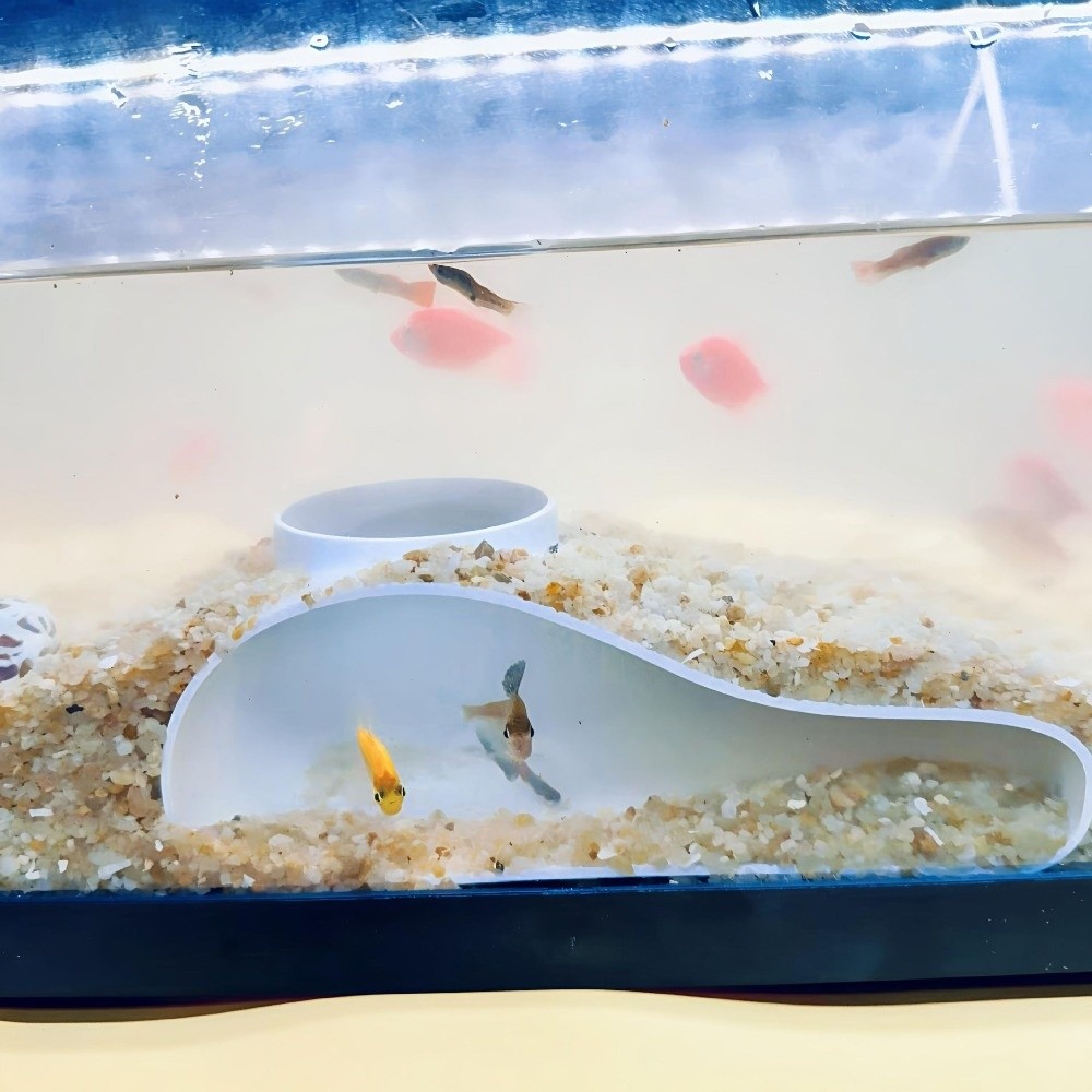 Terowongan Akuarium 3D Printin - Aquarium Planted Seeds ulasan dan harga