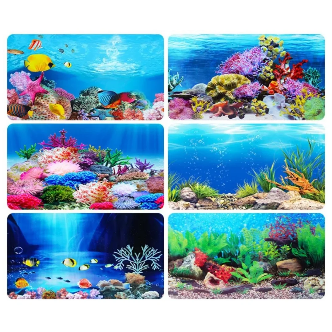 Latar belakang akuarium 3D sti - Aquarium Planted Seeds ulasan dan harga