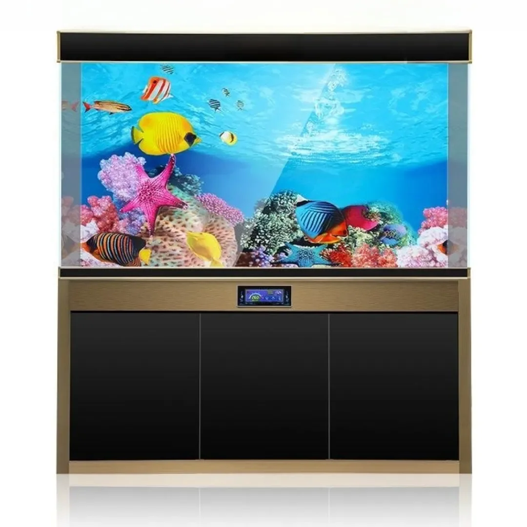 Latar belakang akuarium 3D sti - Aquarium Planted Seeds ulasan dan harga