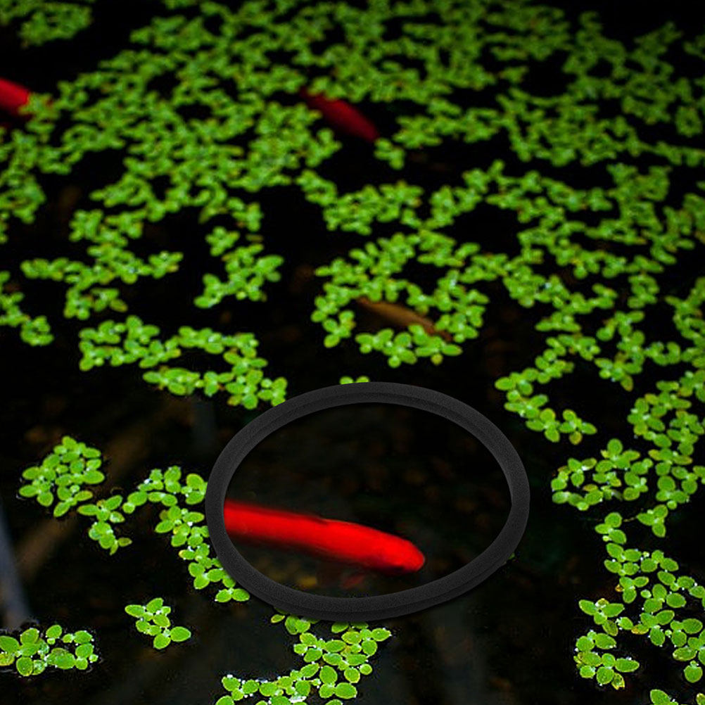 20 Buah Cincin Tanaman Terapun - Aquarium Plant Rings ulasan dan harga