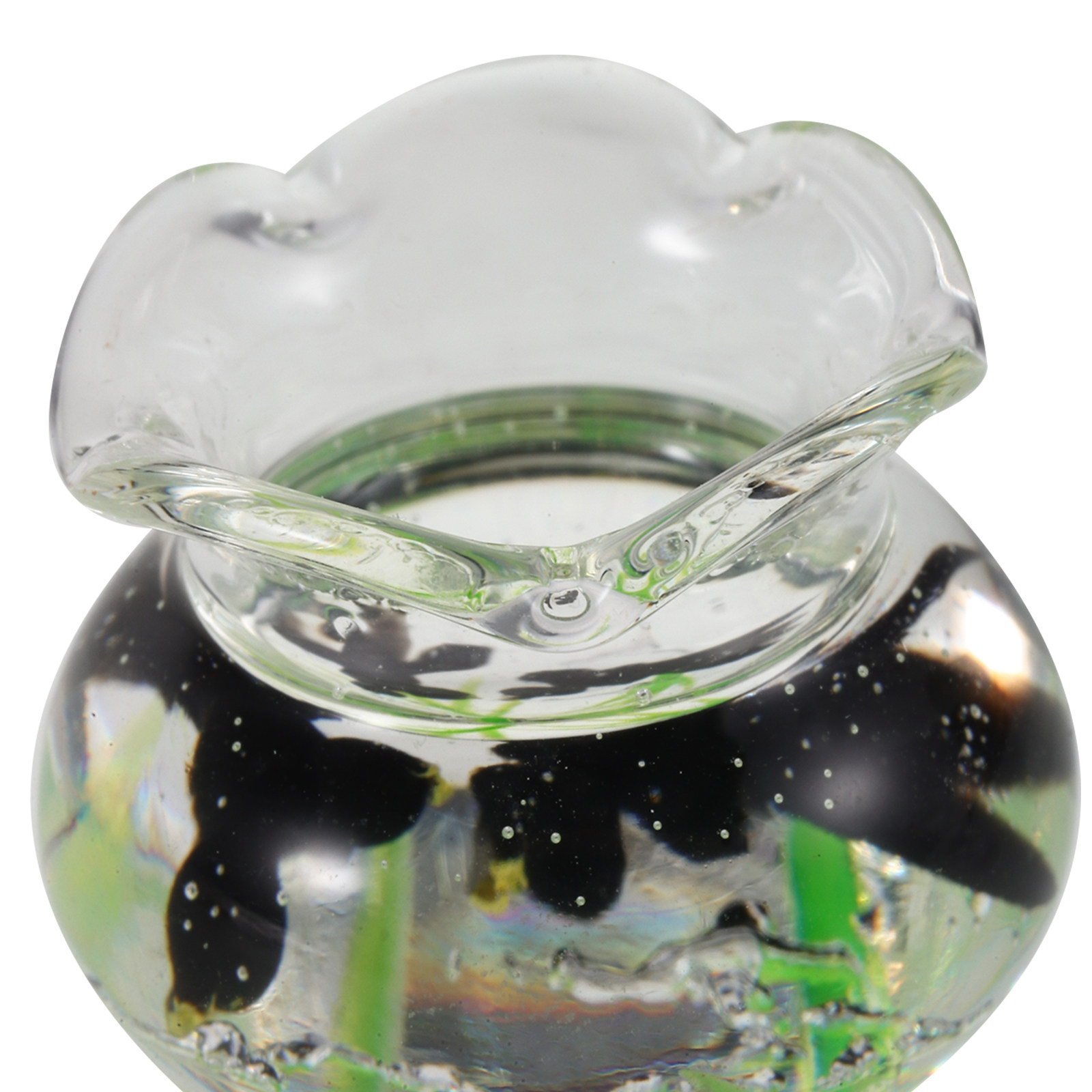 Akuarium Mini Resin, Tangki Bu - Planted Aquarium Bowl ulasan dan harga