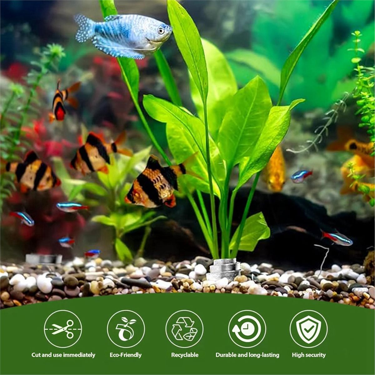 Pemberat Tanaman Akuarium Hema - Aquarium Plant Rings ulasan dan harga