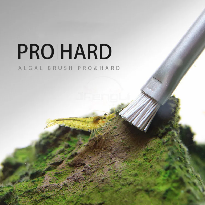 Sikat Alga Aquapro Sikat Pembe - Planted Aquarium Ada ulasan dan harga