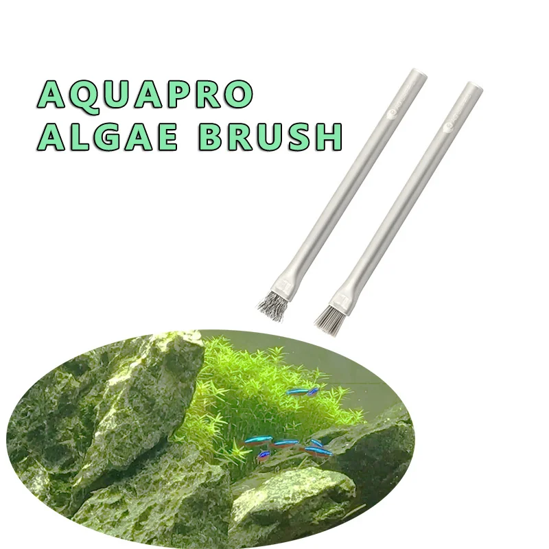 Sikat Alga Aquapro Sikat Pembe - Planted Aquarium Ada ulasan dan harga
