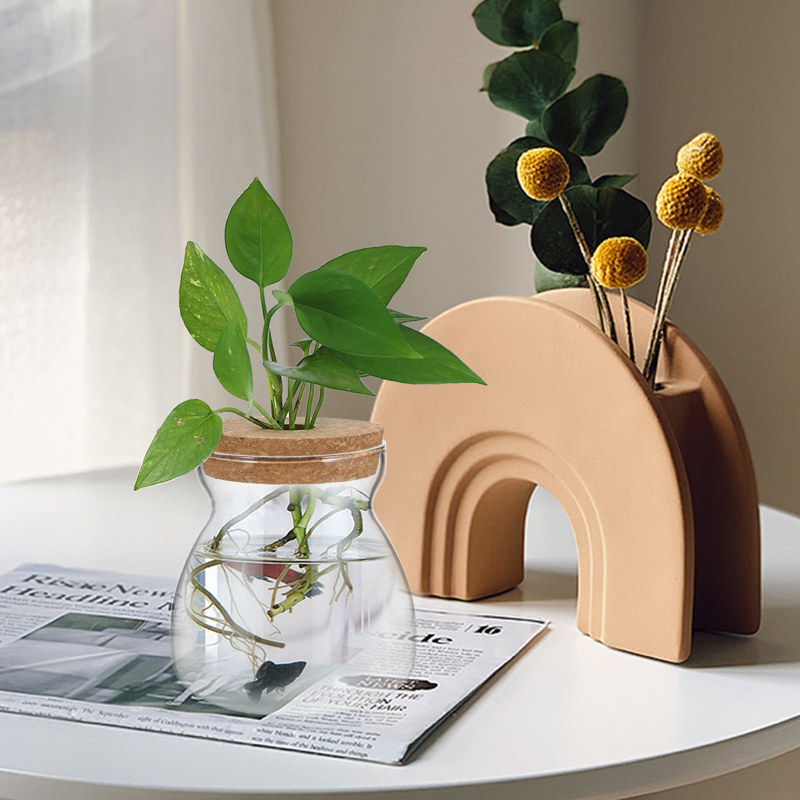 Toples Terrarium, Wadah Terrar - Planted Aquarium Jar ulasan dan harga