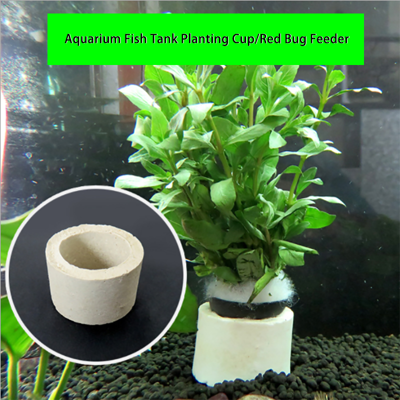 Dekorasi akuarium cincin keram - Aquarium Plant Rings ulasan dan harga