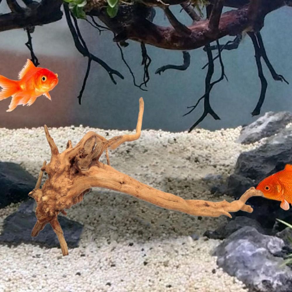 Kayu Apung Akuarium Besar 20-2 - Planted Aquarium Bowl ulasan dan harga
