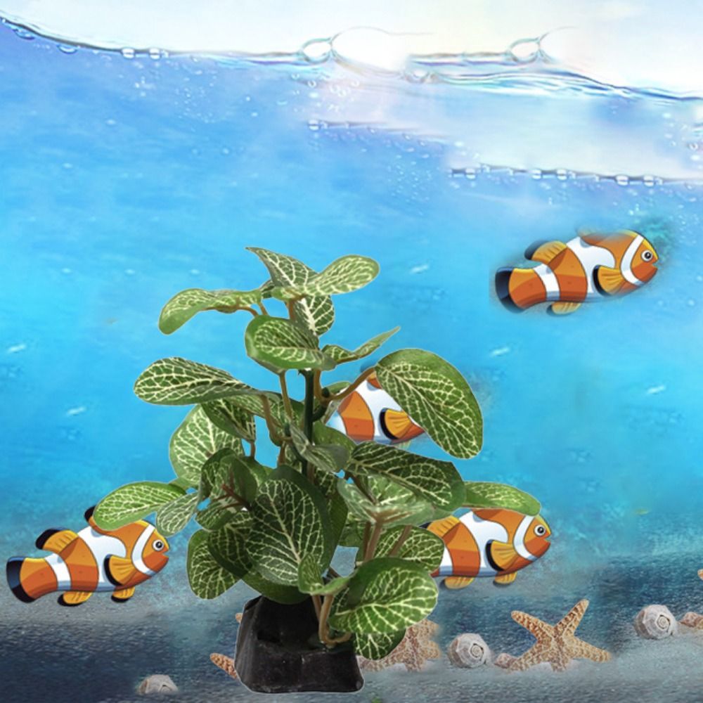 Sutra Dekoratif Bawah Air Real - Planted Aquarium Jar ulasan dan harga