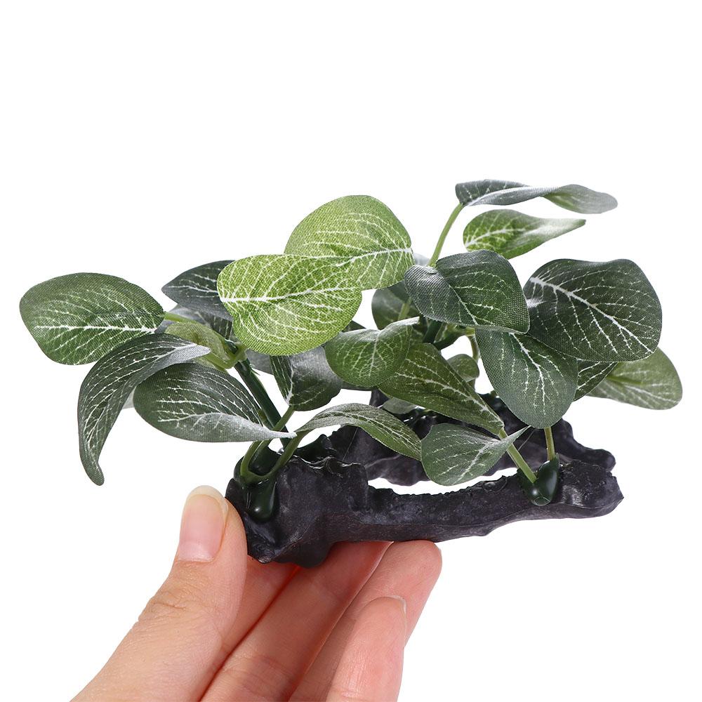 Sutra Dekoratif Bawah Air Real - Planted Aquarium Jar ulasan dan harga