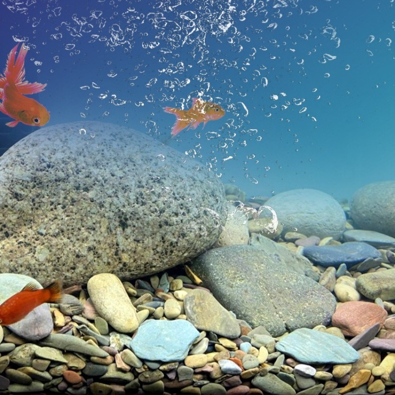 Pasir Dasar Akuarium Pebbles A - Aquarium Planted Sand ulasan dan harga