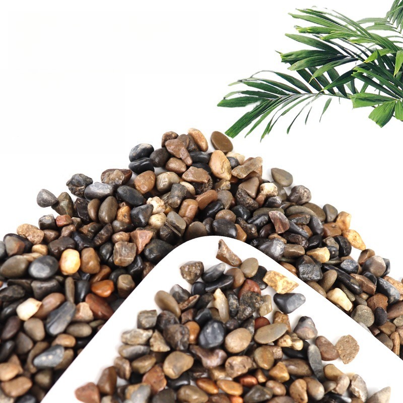 Pasir Dasar Akuarium Pebbles A - Aquarium Planted Sand ulasan dan harga