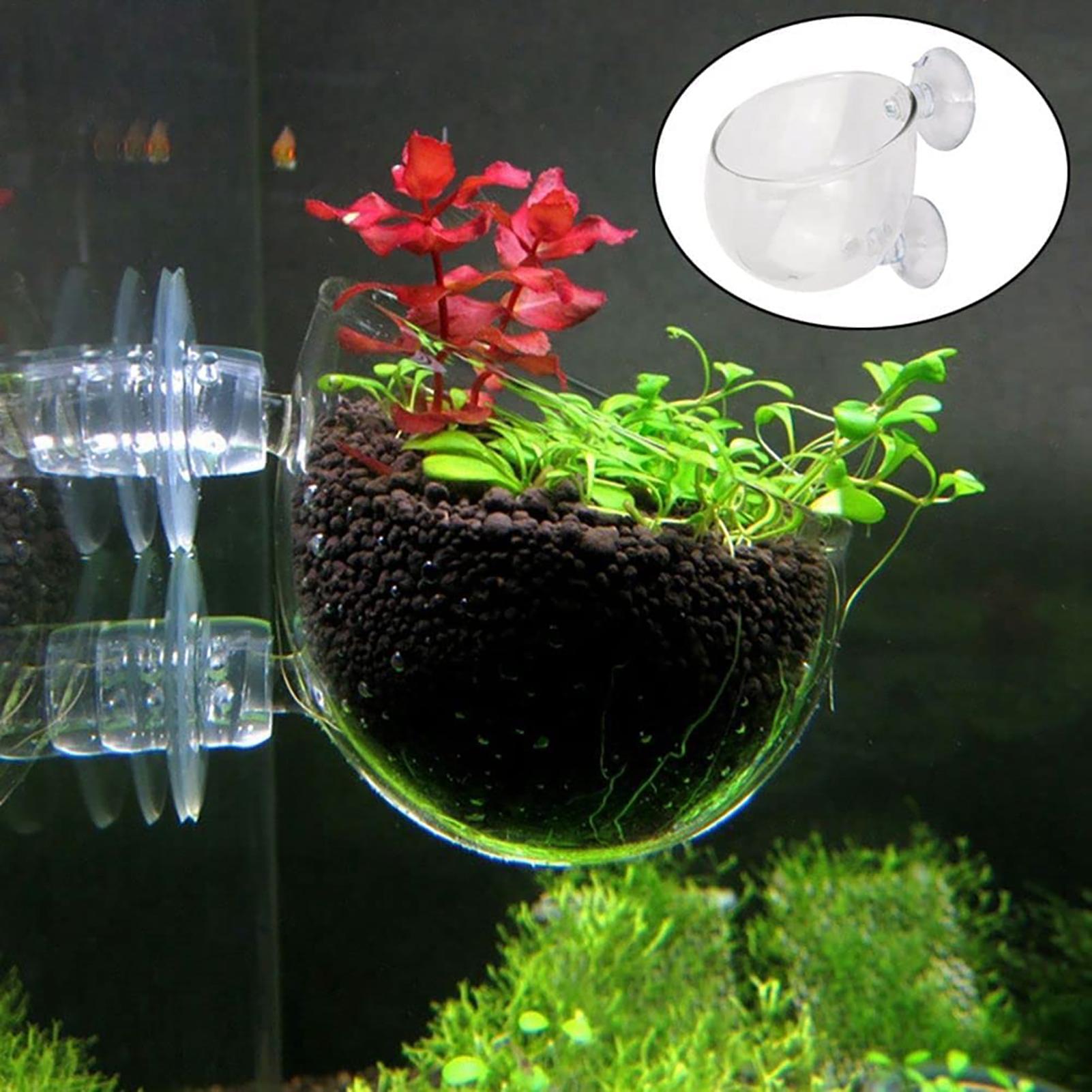 Pot Tanaman Air Akrilik Bening - Aquarium Plant Rings ulasan dan harga