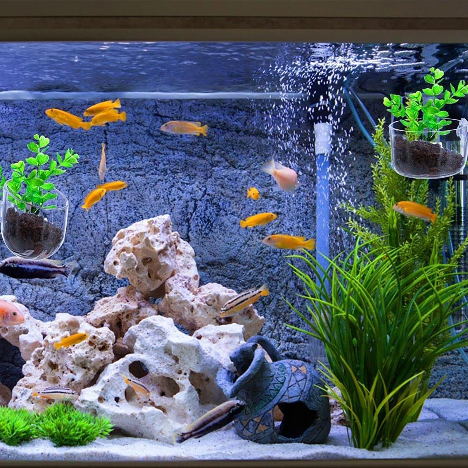 Pot Tanaman Air Akrilik Bening - Aquarium Plant Rings ulasan dan harga