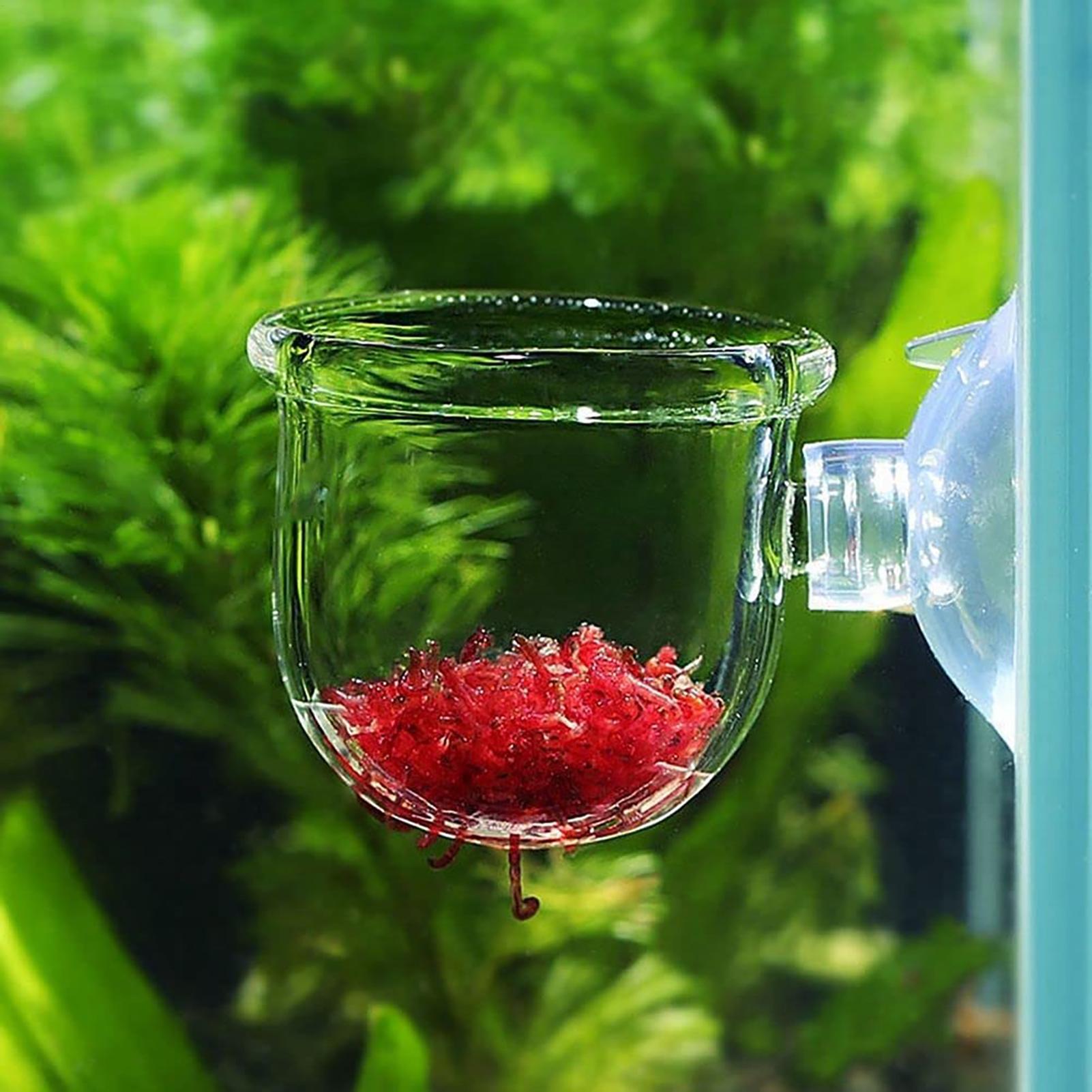 Pot Tanaman Air Akrilik Bening - Aquarium Plant Rings ulasan dan harga