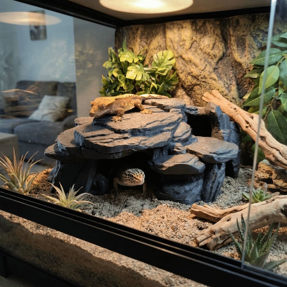 Ornamen Batu Akuarium Cetak 3D - Aquarium Planted Seeds ulasan dan harga