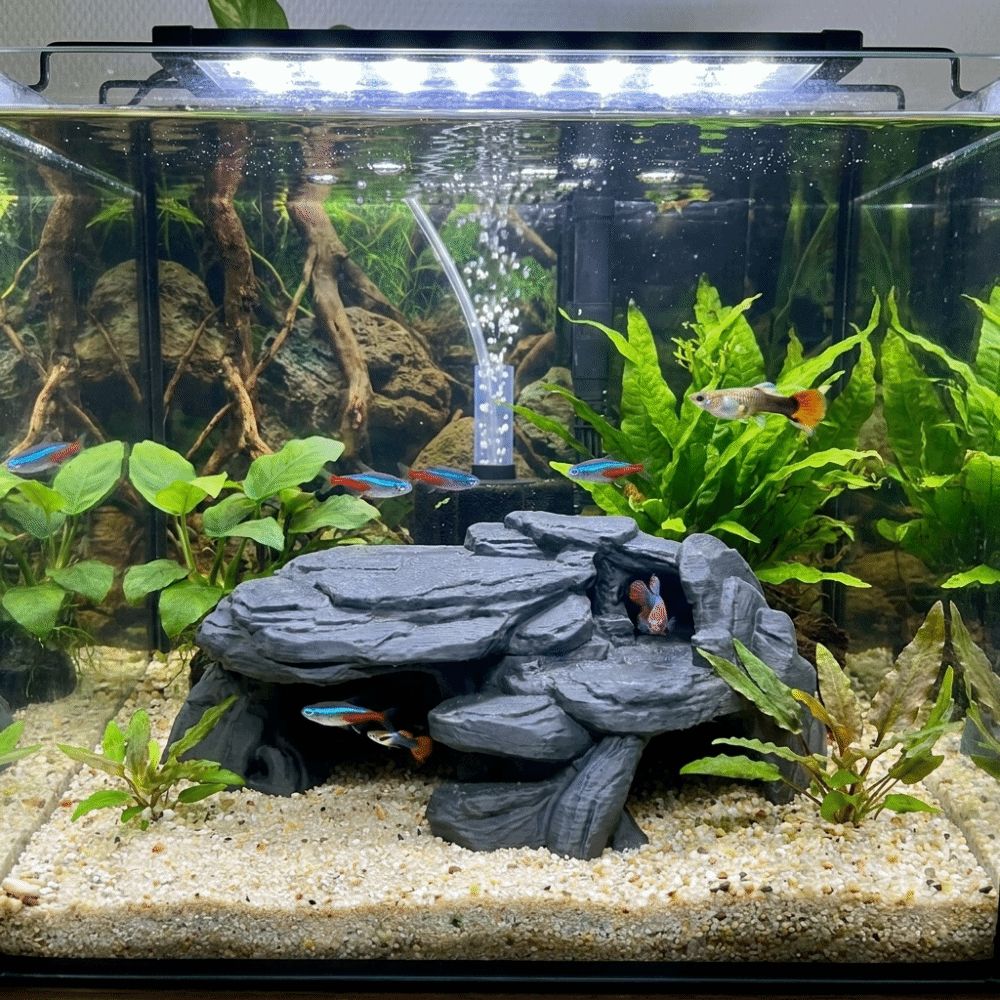 Ornamen Batu Akuarium Cetak 3D - Aquarium Planted Seeds ulasan dan harga