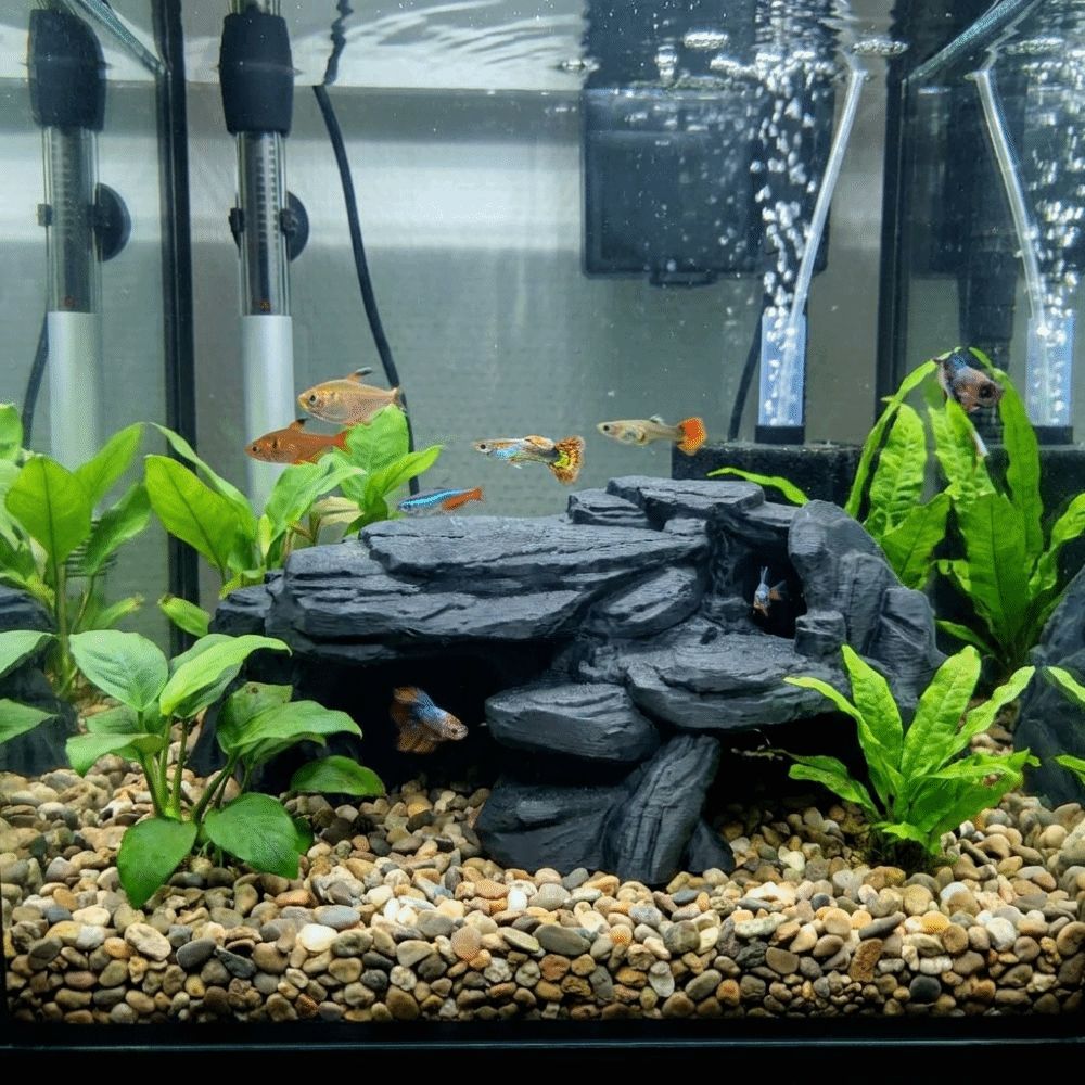 Ornamen Batu Akuarium Cetak 3D - Aquarium Planted Seeds ulasan dan harga