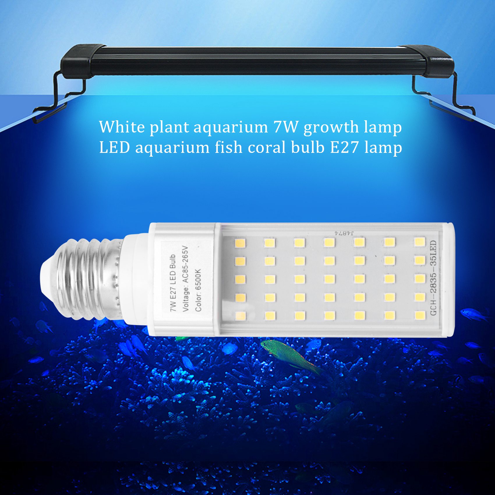 A19Q-Fishpod Akuarium Tanaman  - Planted Aquarium Materials ulasan dan harga