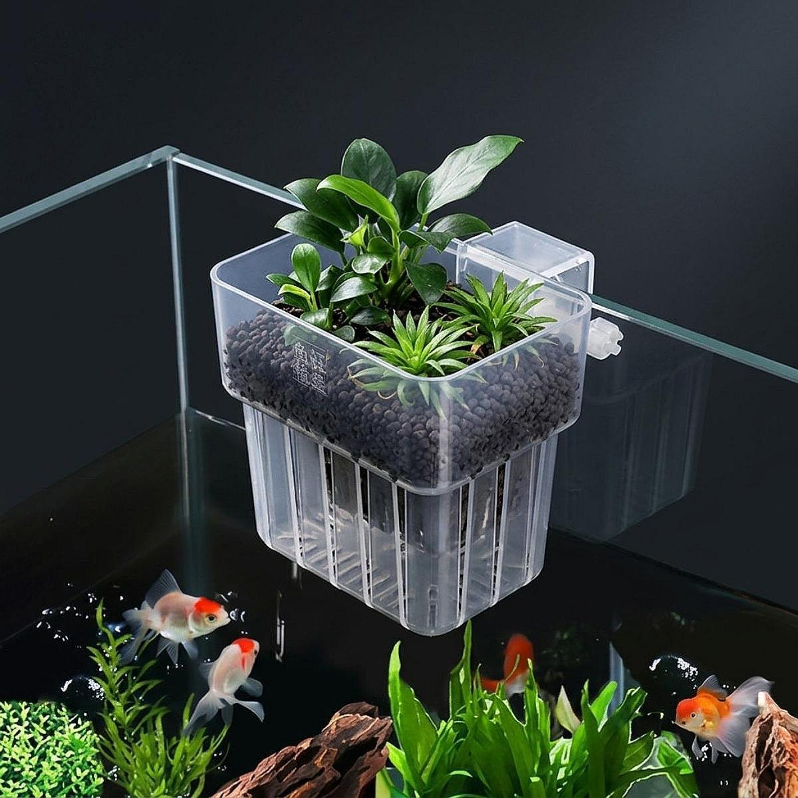 Tempat Tanaman Akuarium Keranj - Planted Aquarium Materials ulasan dan harga