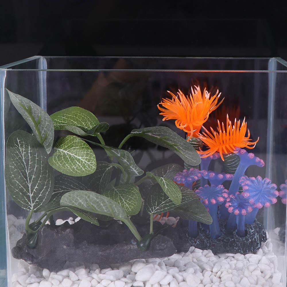 Plastik Sutra Hijau untuk Deko - Planted Aquarium Jar ulasan dan harga