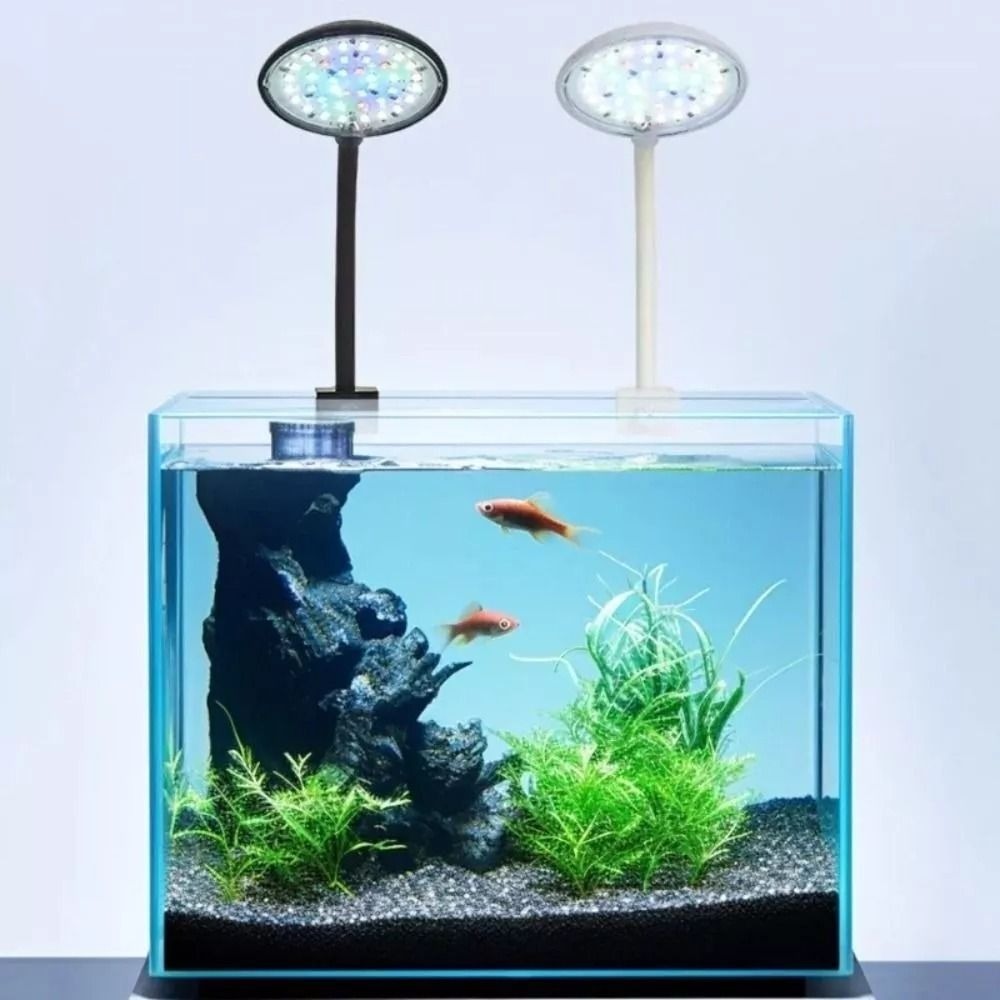 Lampu klip tangki ikan Mini, l - Planted Aquarium Mini ulasan dan harga