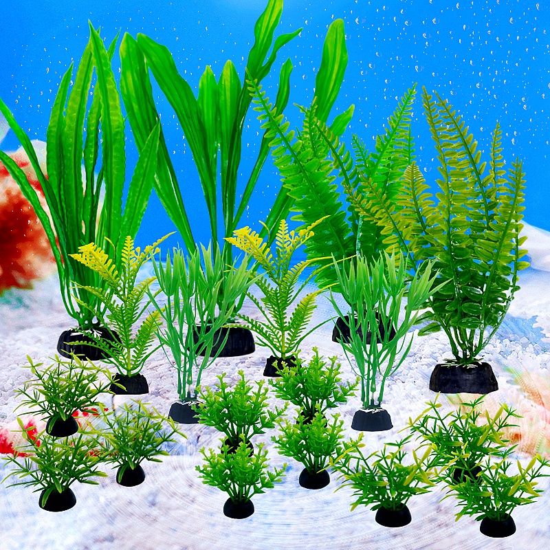 Tanaman hias buatan akuarium,  - Planted Aquarium Bowl ulasan dan harga