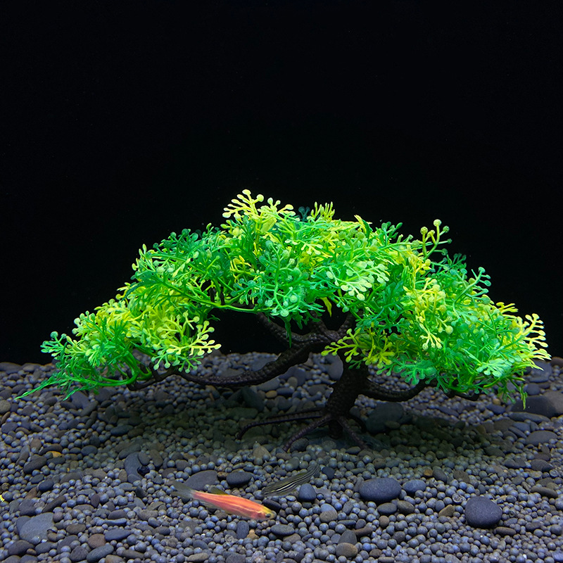Pohon bonsai akuarium, tanaman - Aquarium Planted Seeds ulasan dan harga