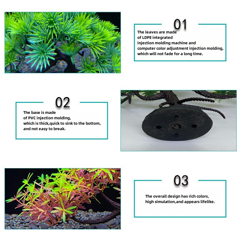 Pohon bonsai akuarium, tanaman - Aquarium Planted Seeds ulasan dan harga