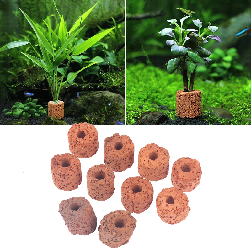 ^10 Buah Cincin Tanaman Akuari - Aquarium Plant Rings ulasan dan harga