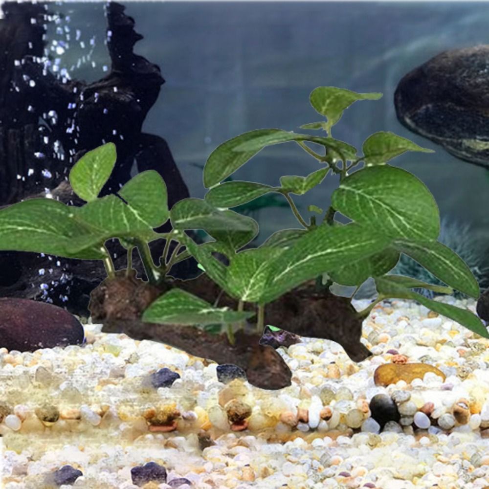 Plastik Sutra Realistis untuk  - Planted Aquarium Jar ulasan dan harga