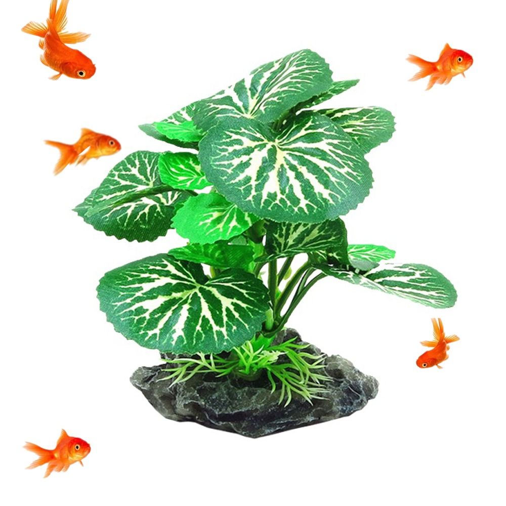 Tanaman Akuarium Bahan Plastik - Planted Aquarium Materials ulasan dan harga