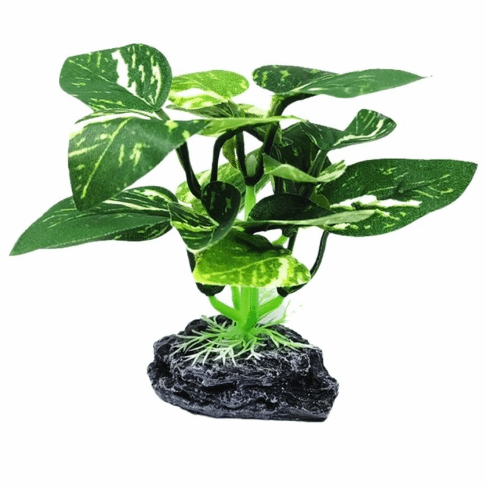 Tanaman Akuarium Bahan Plastik - Planted Aquarium Materials ulasan dan harga