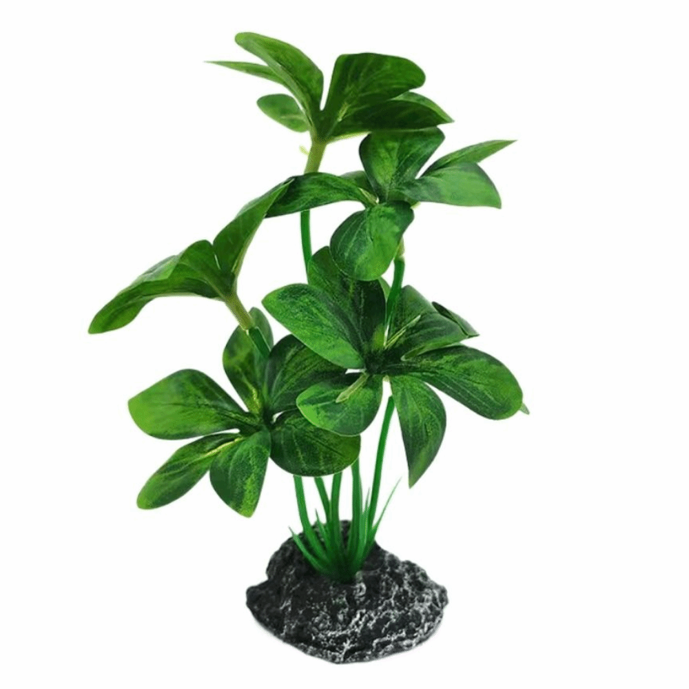 Tanaman Akuarium Bahan Plastik - Planted Aquarium Materials ulasan dan harga
