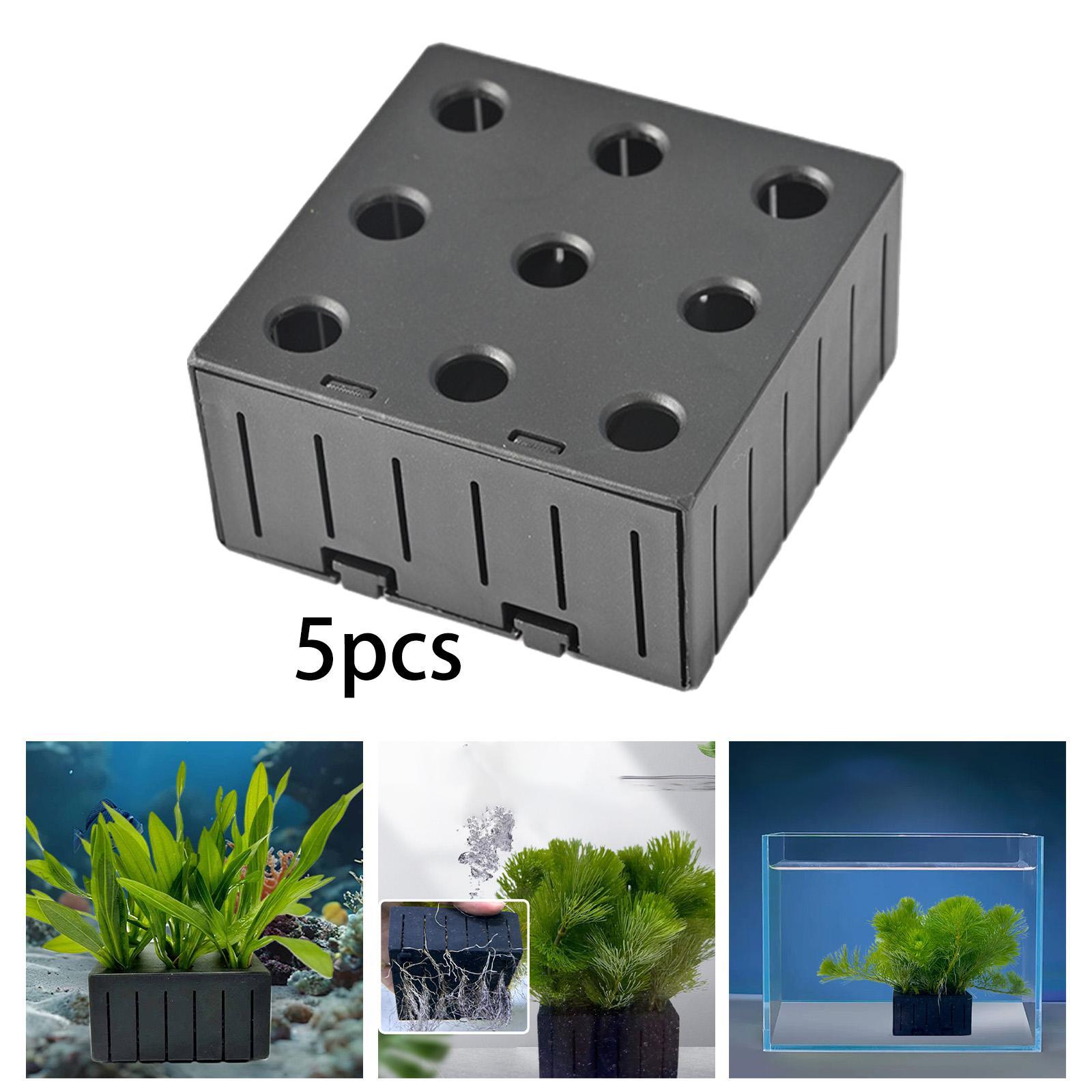 Keranjang Tanaman Akuarium Pla - Planted Aquarium Mini ulasan dan harga